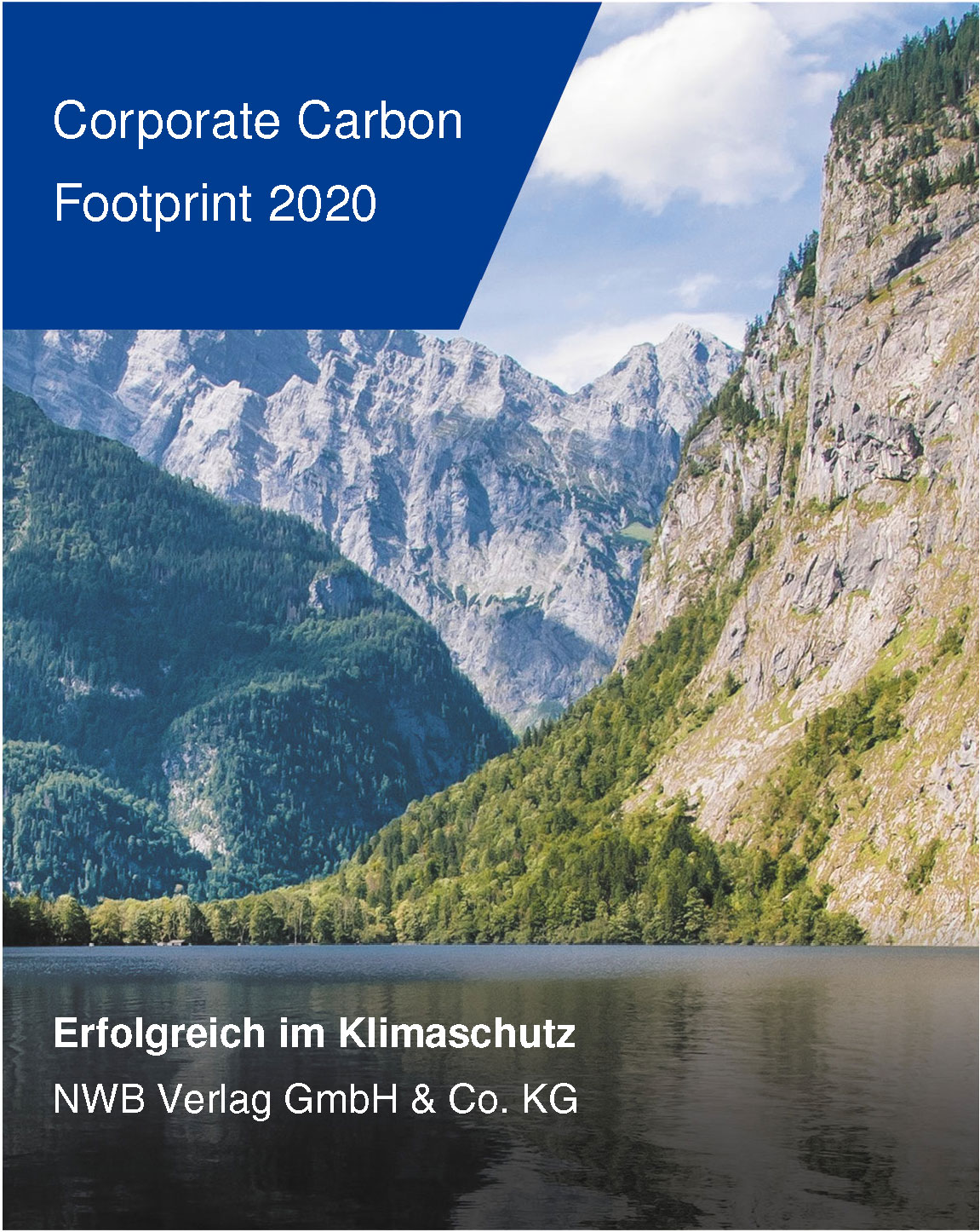 Corporate Carbon Footprint 2020