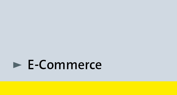Themenseite E-Commerce