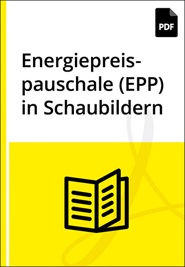 Energiepreispauschale (EPP) in Schaubildern