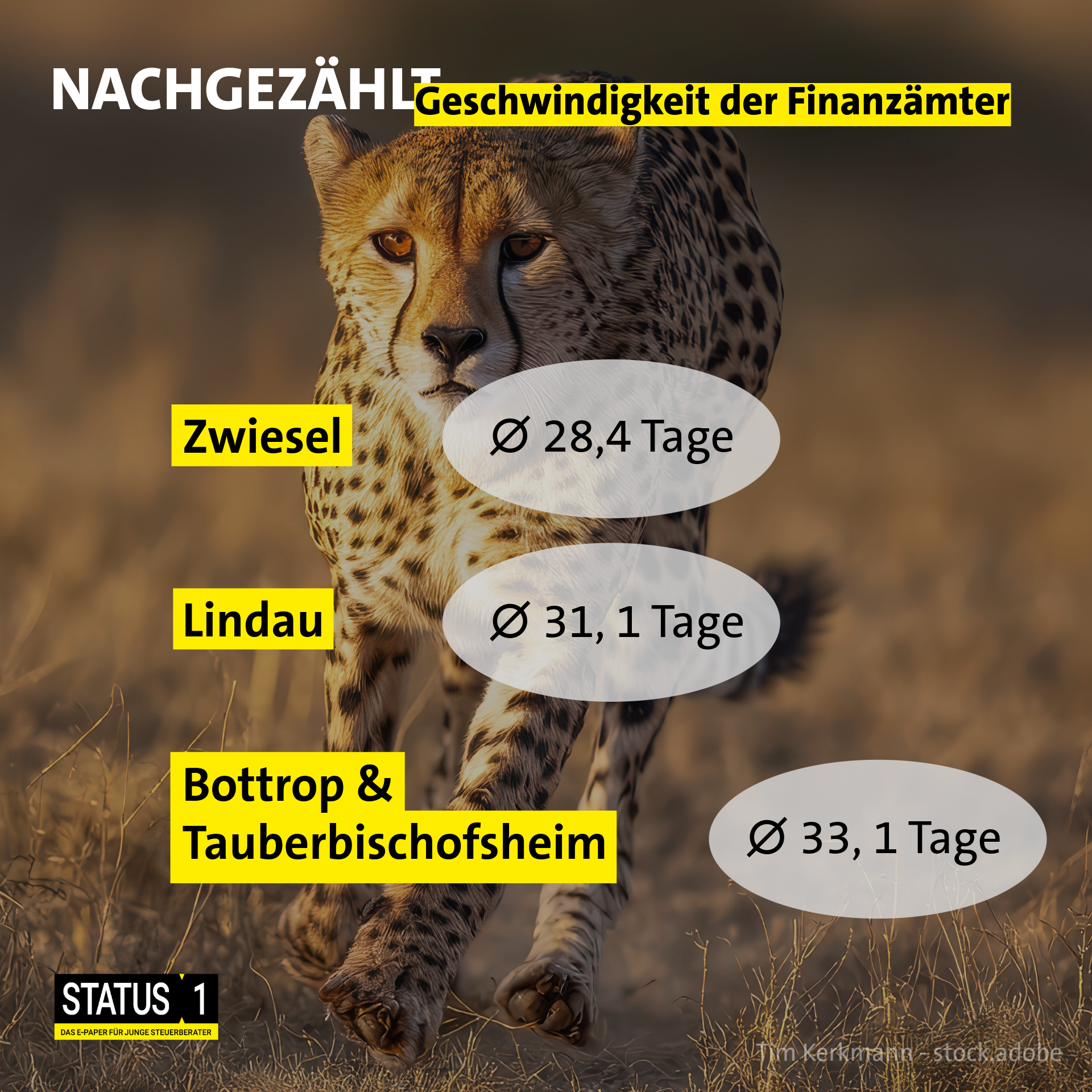 Cheetah - Thema: Geschwindigkeit von Finanzämtern 2025