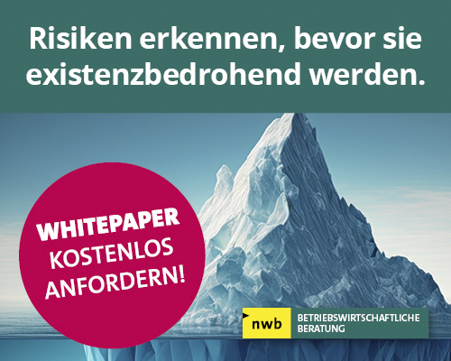 Eisberg - Thema: Whitepaper Unternehmensberatung