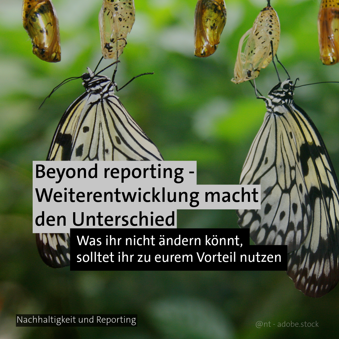 Schlüpfende Schmetterlinge - Thema: ESRS als Steuerinstrument